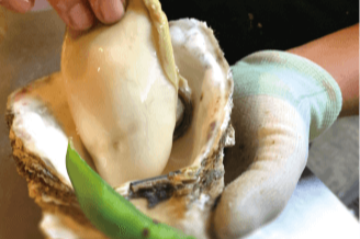 一宮海岸の岩牡蠣は世界的レベルの美味しさ！